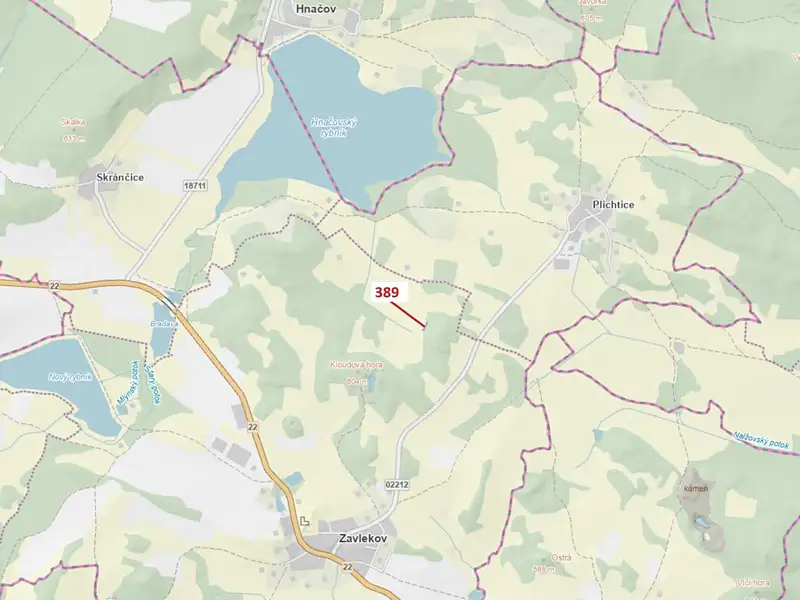 Dražba lesa 332 m², Zavlekov – náhled fotky 1