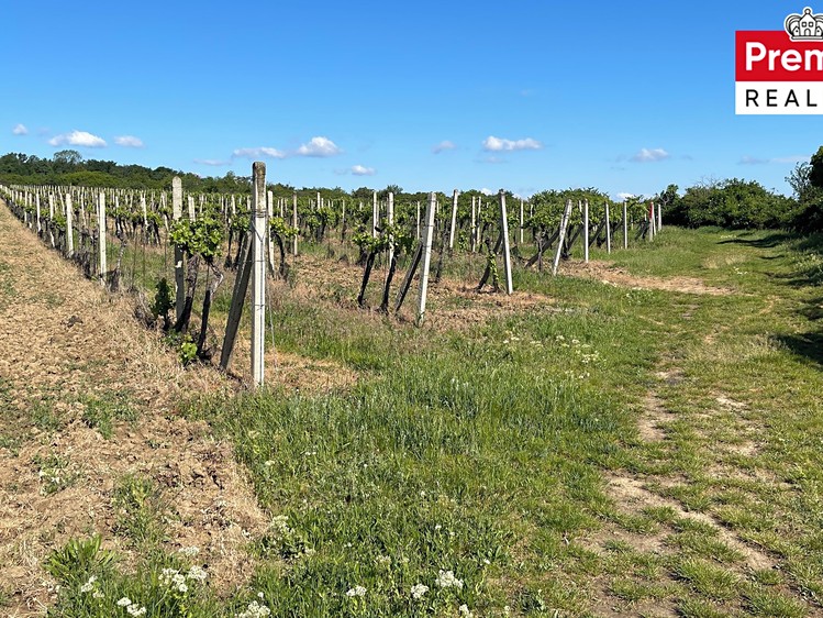 Grundstück zum Kauf, 86.440 m² (11 von 22)