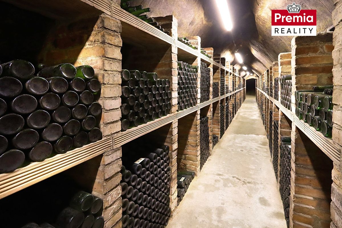Prodej vinného sklepa 1500 m², Nový Šaldorf-Sedlešovice – fotka 1 z 3