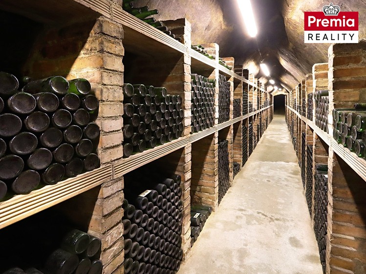 Prodej nemovitosti, 1 500 m² (1 z 38)