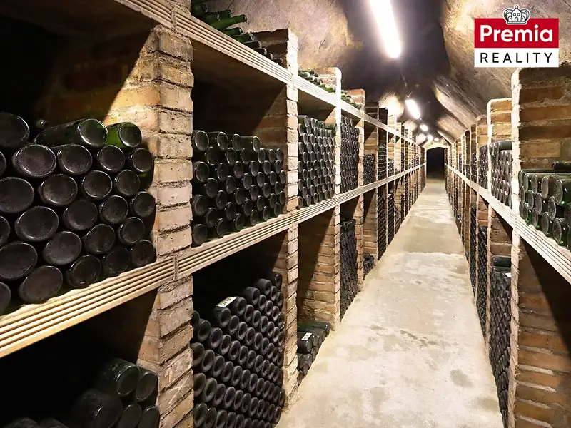 Prodej vinného sklepa 1500 m², Nový Šaldorf-Sedlešovice – náhled fotky 1