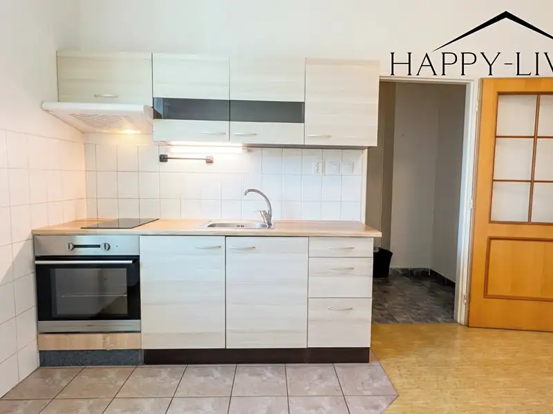 Pronájem bytu 2+kk 47 m², Plzeň – náhled fotky 1