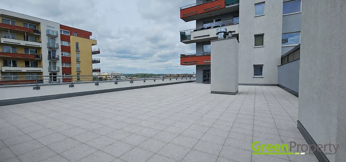 Fotka 11 z 13