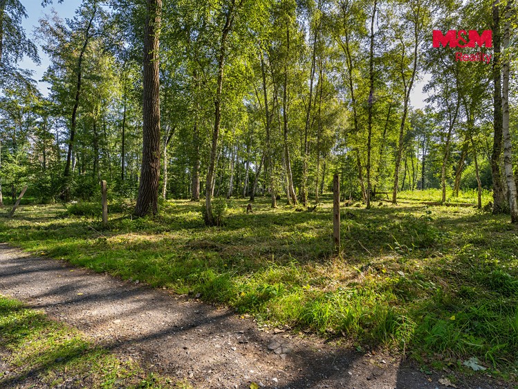 Prodej pozemku, 3 825 m² (2 z 12)