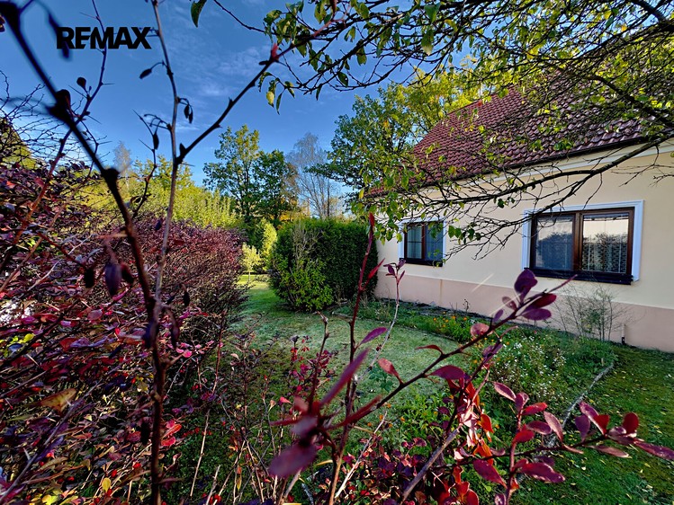 Haus zum Kauf, 90 m² (3 von 18)