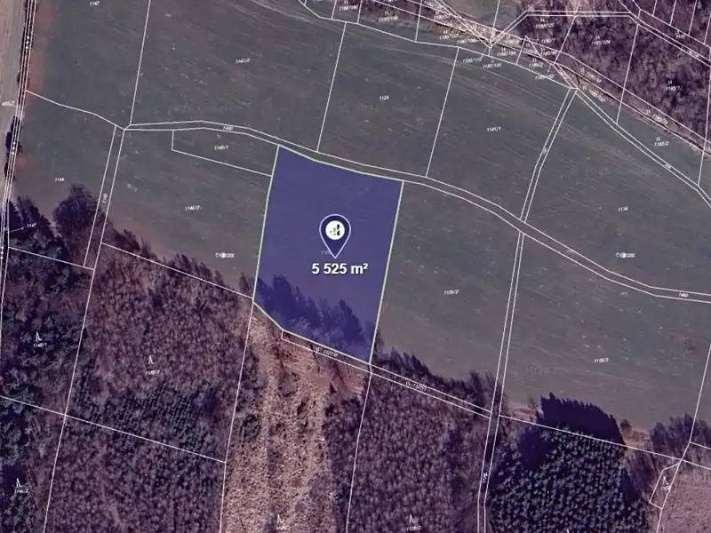Prodej pole 5525 m², Ludmírov – náhled fotky 1