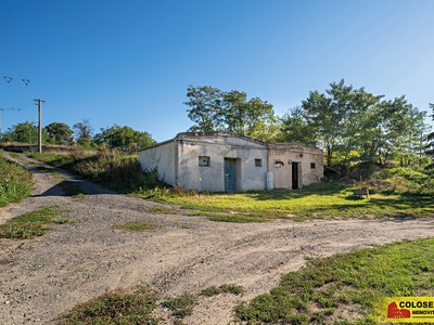 Prodej vinného sklepa 32 m²
