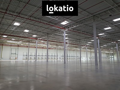 Комерційне приміщення в оренду, 5 667 м² (3 з 13)