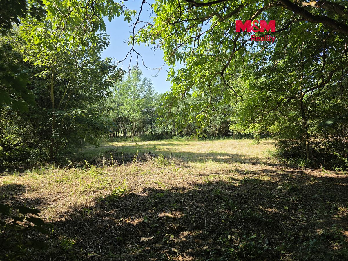 Prodej stavebního pozemku 1093 m², Bor – fotka 1 z 3