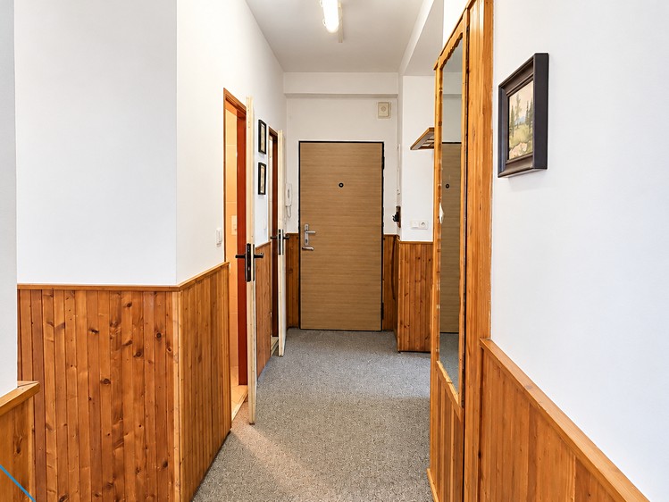 Wohnung 3+1 zum Kauf, 64 m² (12 von 18)