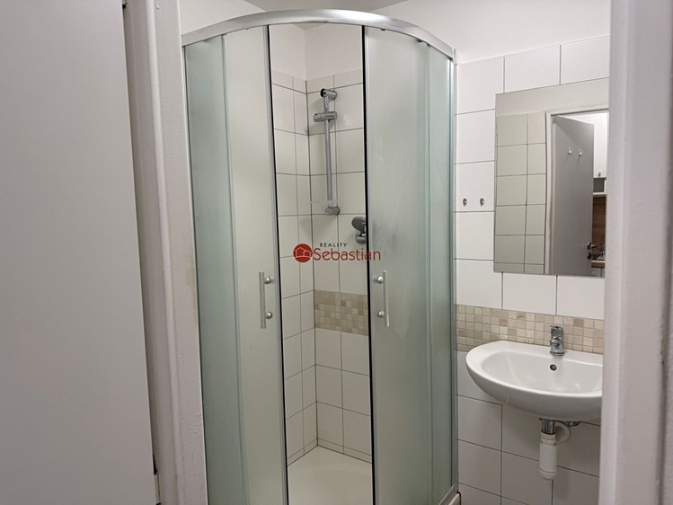 Квартира 1+kk в оренду, 20 м² (4 з 5)