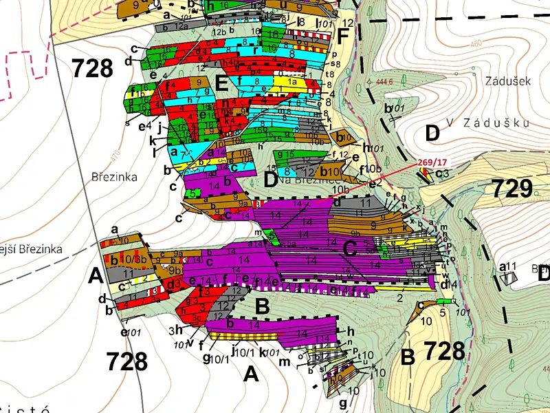 Dražba lesa 7469 m², Břežany – náhled fotky 3