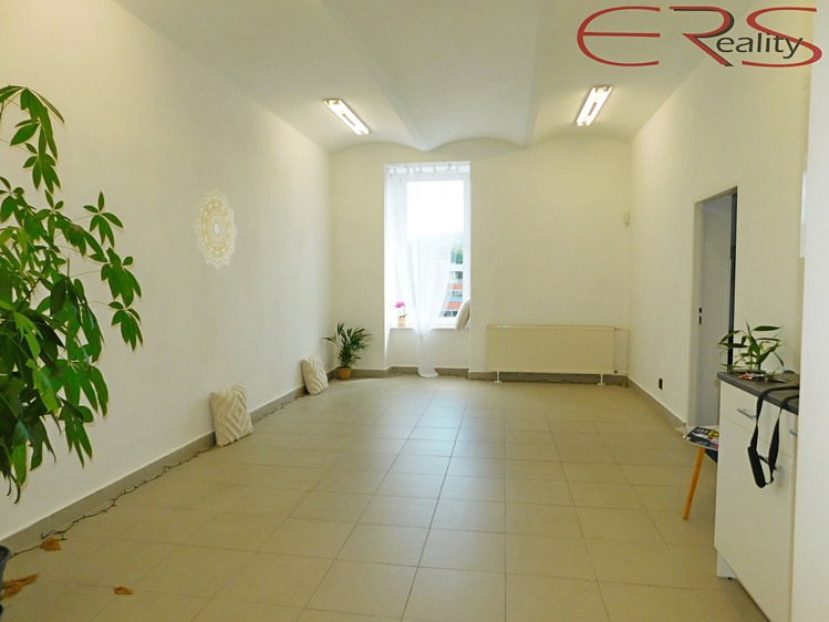 Комерційне приміщення в оренду, 91 м² (9 з 13)