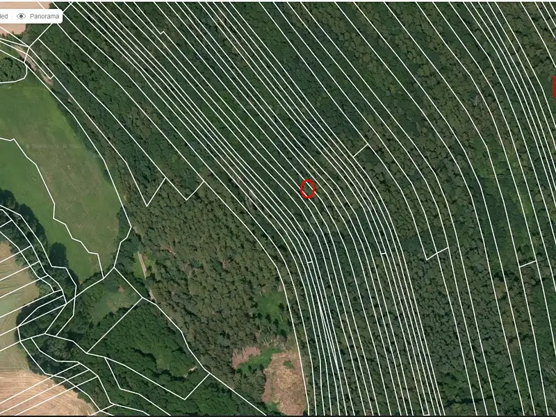Prodej lesa 4786 m², Janovice nad Úhlavou – náhled fotky 2