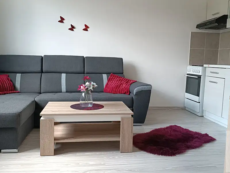 Prodej bytu 1+1 36 m², Ústí nad Labem – náhled fotky 2