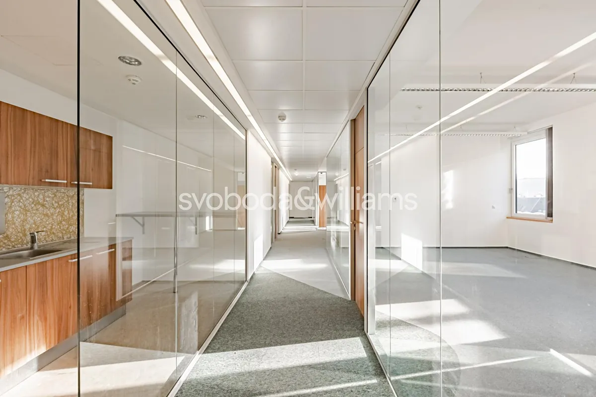 Pronájem kanceláře 458 m²