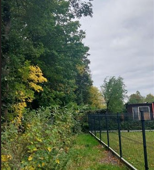 Grundstück zum Kauf, 2.004 m² (3 von 11)