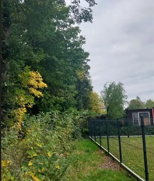 Prodej lesa 2004 m², Vratimov – náhled fotky 3