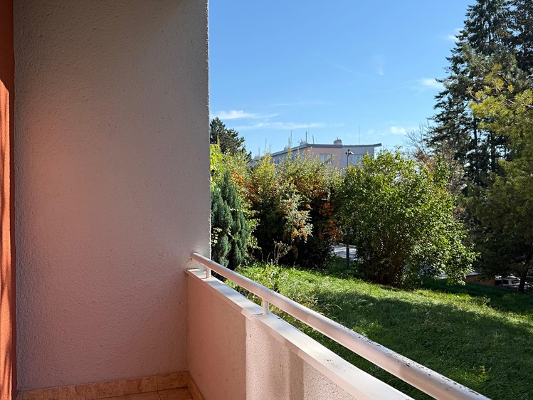 Ostatní