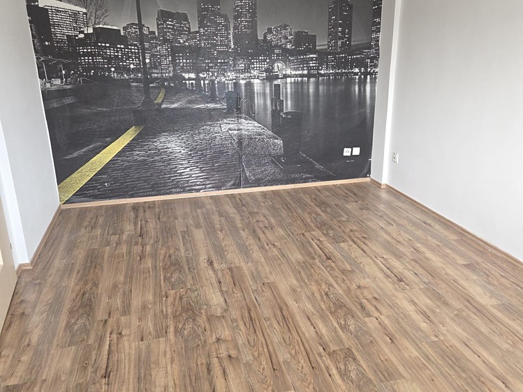 Pronájem bytu 1+1, 32 m² (4 z 7)