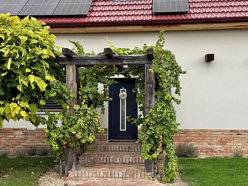 Pronájem rodinného domu 180 m², pozemek 900 m², Perná – náhled fotky 1