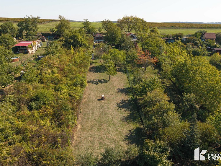 Ostatní