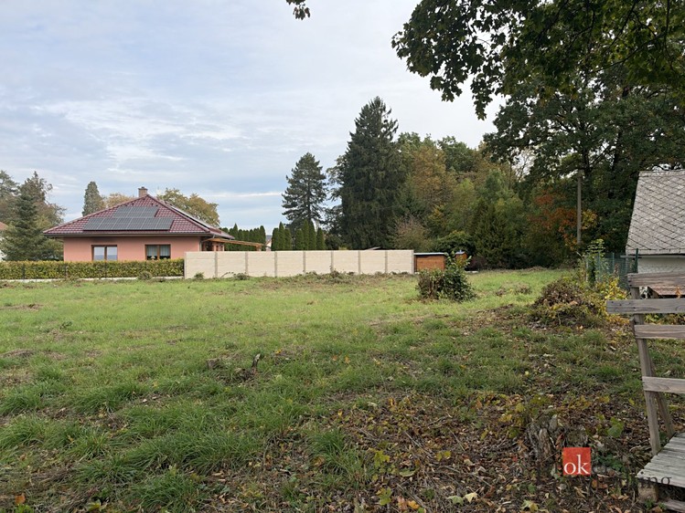 Grundstück zum Kauf, 2.994 m² (12 von 18)