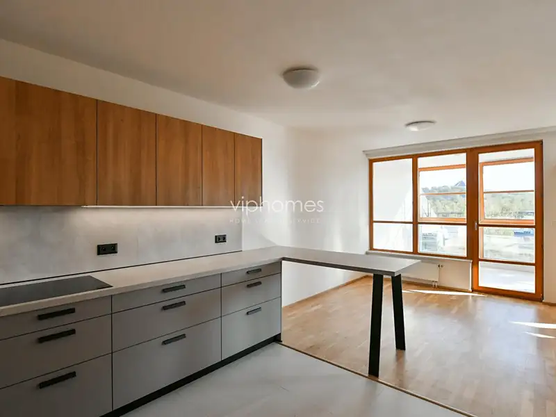 Pronájem bytu 4+kk 200 m², Praha – náhled fotky 3