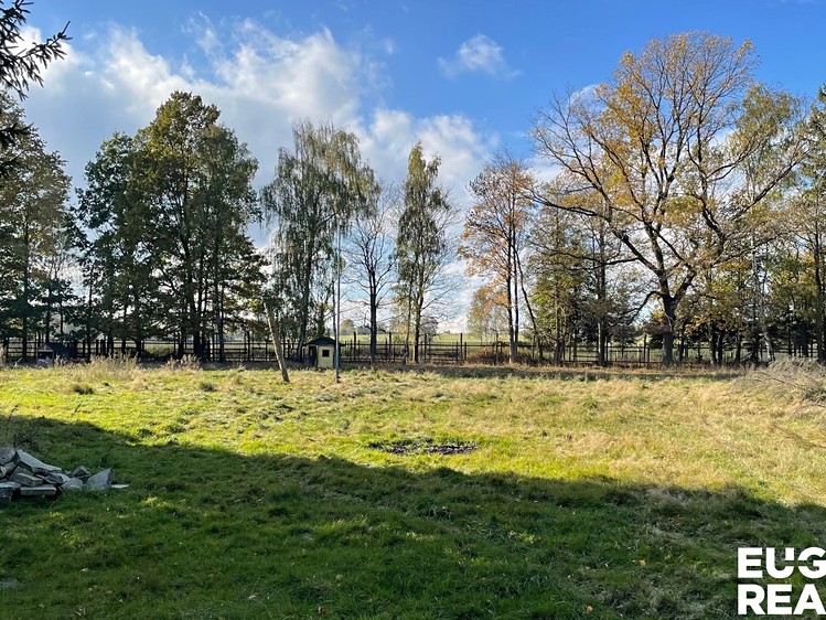 Prodej komerčního prostoru, 1 500 m² (57 z 68)