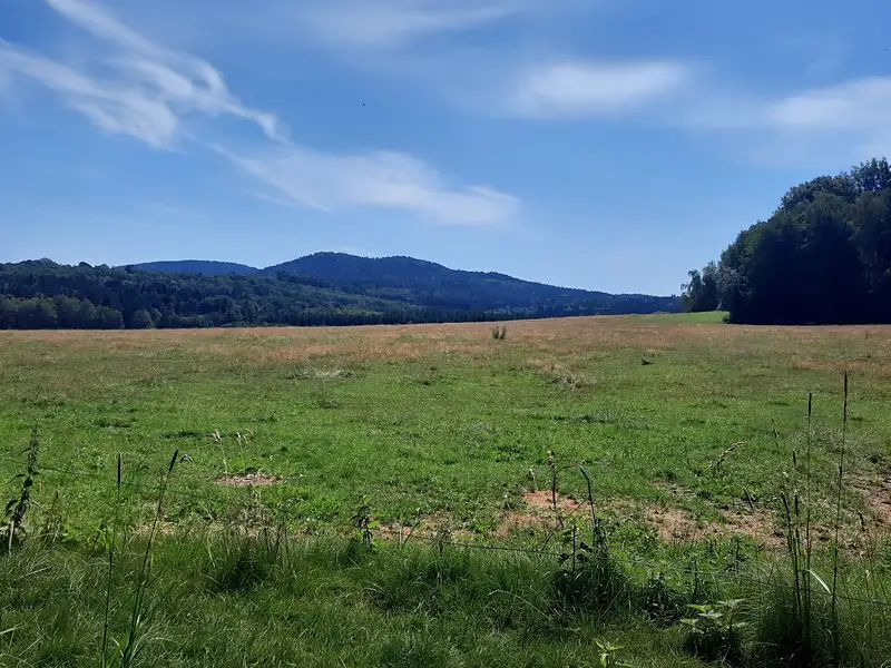 Prodej louky 12444 m², Benešov nad Černou – náhled fotky 3