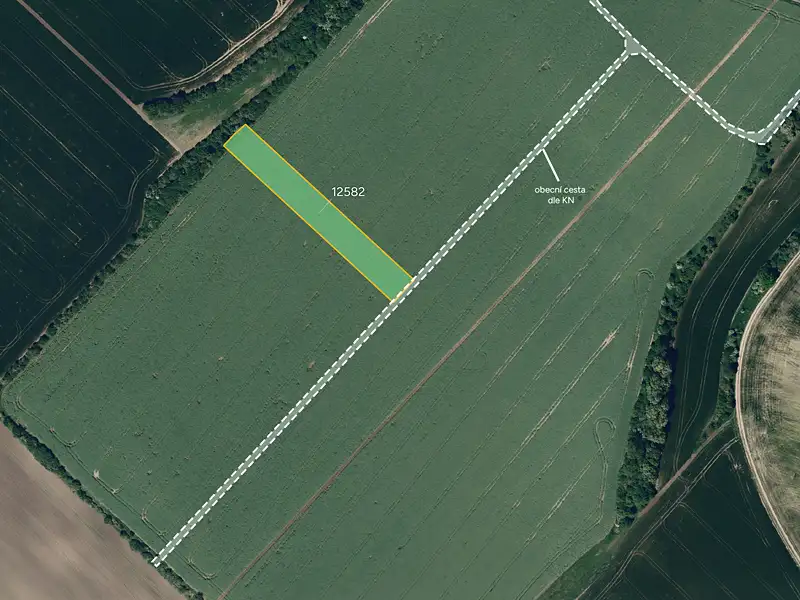 Prodej pole 2000 m², Mutěnice – náhled fotky 1
