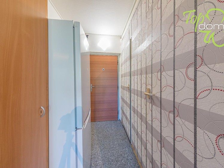 Pronájem bytu 1+kk, 30 m² (4 z 9)