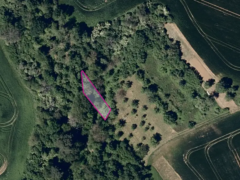 Prodej pole 7416 m², Jalubí – náhled fotky 3