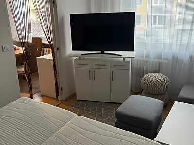 Квартира 1+1 в оренду, 34 м² (3 з 14)