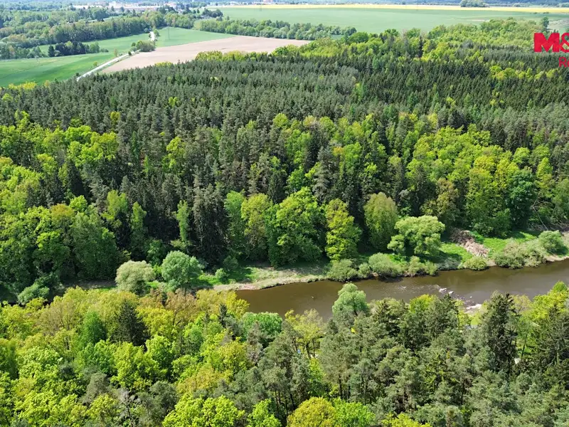 Prodej lesa 79857 m², Černýšovice – náhled fotky 2