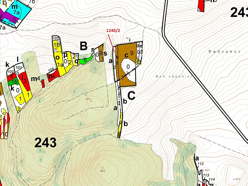 Dražba lesa 1896 m², Vladislav – náhled fotky 3