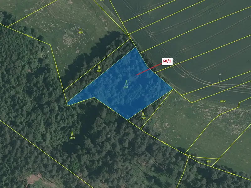 Dražba lesa 2849 m², Krátošice – náhled fotky 2