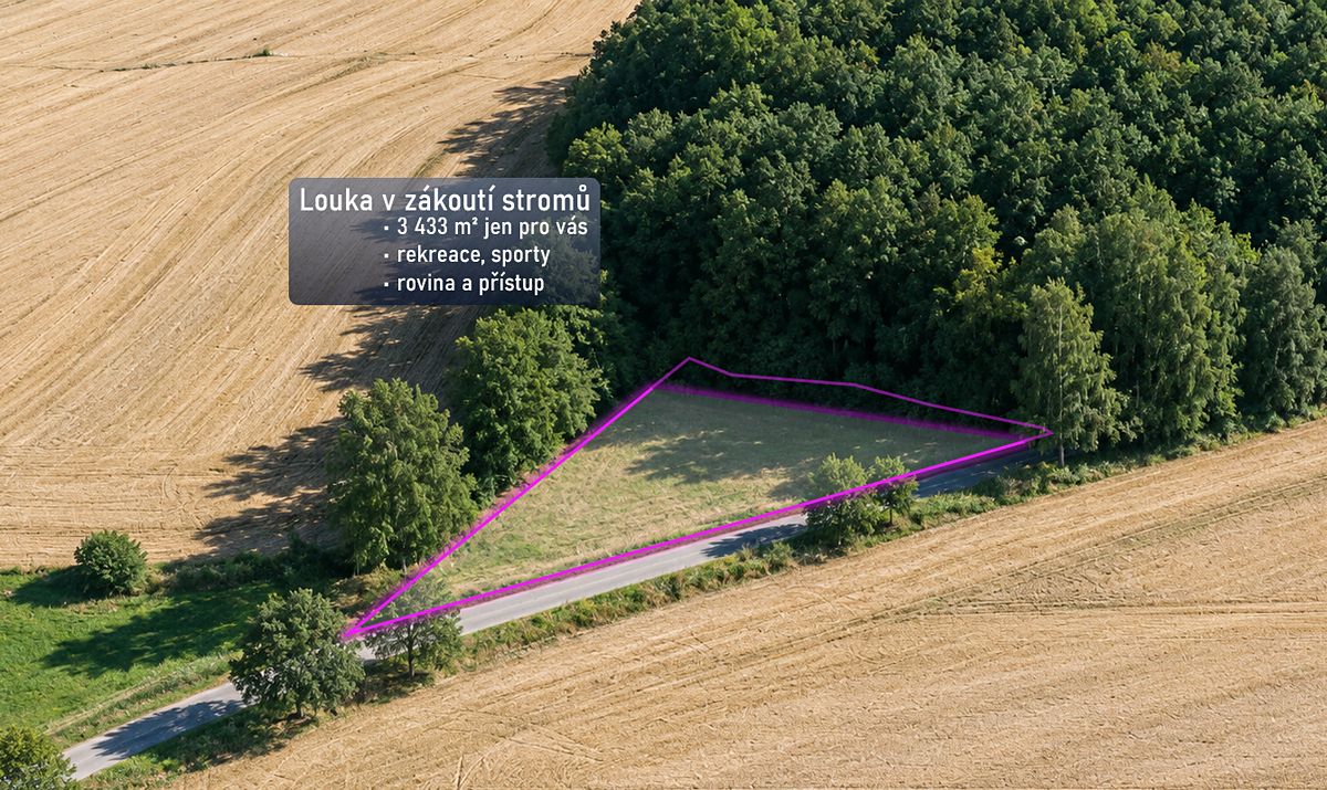 Prodej louky 3433 m², Přívrat – fotka 1 z 3