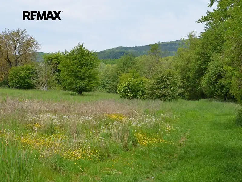Prodej zahrady 448 m², Železnice – náhled fotky 1