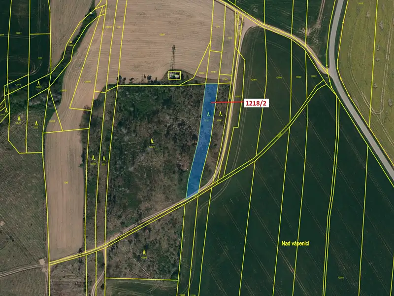 Dražba lesa 1414 m², Vladislav – náhled fotky 2