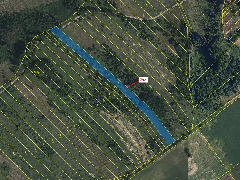 Dražba lesa 5706 m², Knínice – náhled fotky 2