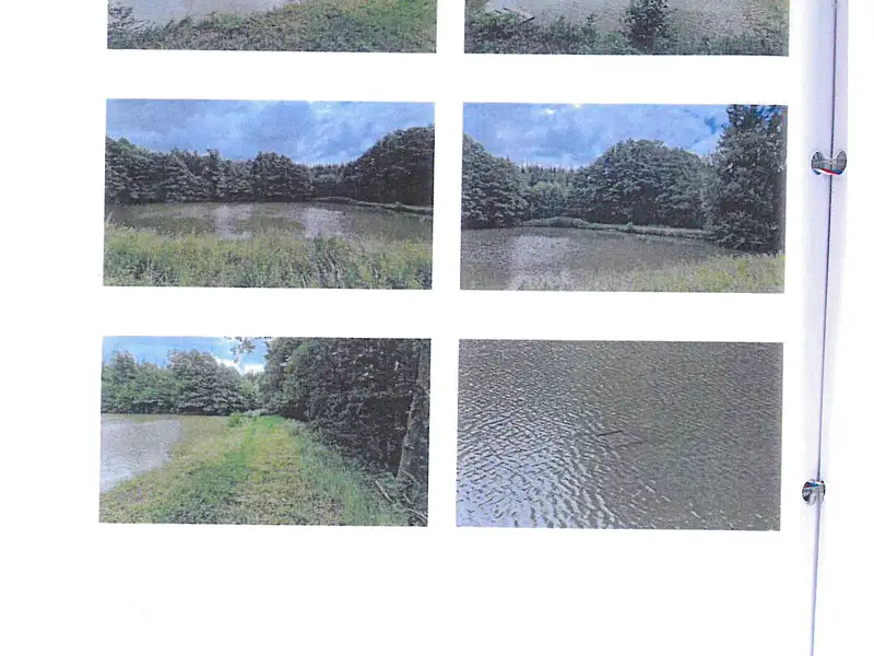 Prodej rybníku (vodní plochy) 5929 m², Třešť – náhled fotky 3