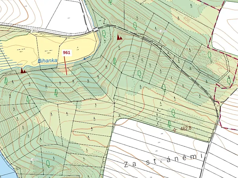 Dražba lesa 961 m², Mladoňovice – náhled fotky 3