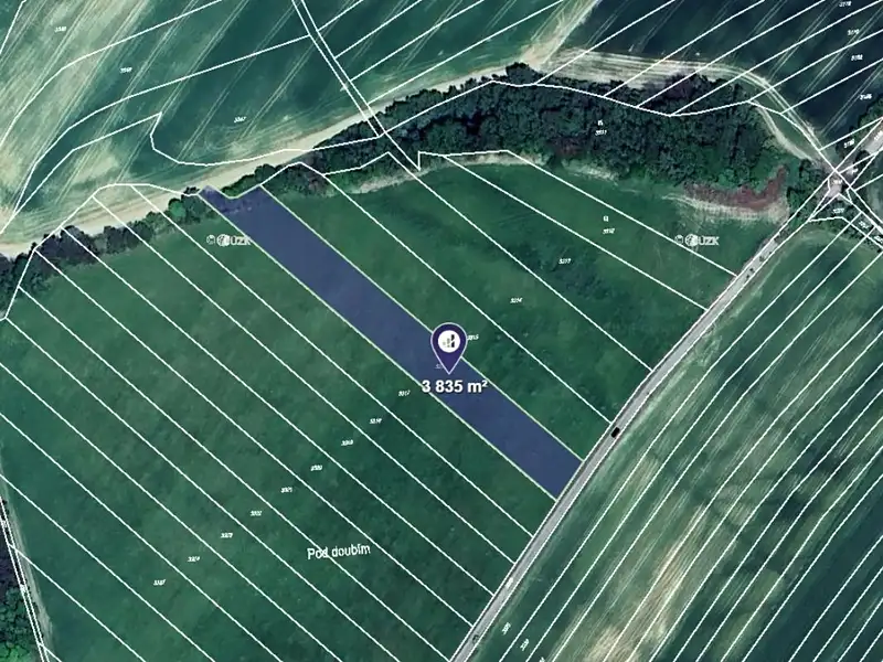 Prodej pole 3835 m², Velký Újezd – náhled fotky 1