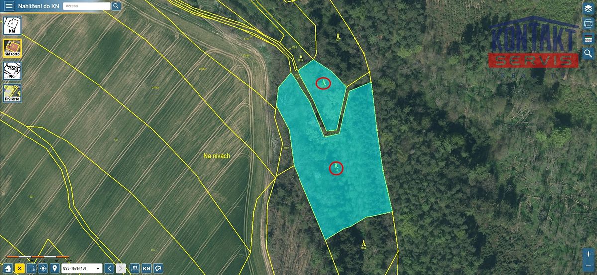 Prodej lesa 23812 m², Bečice – fotka 1 z 3