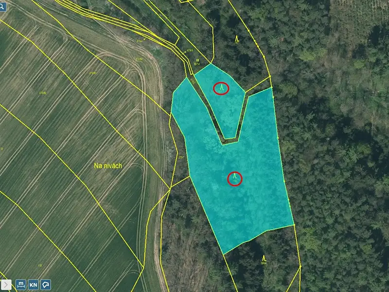 Prodej lesa 23812 m², Bečice – náhled fotky 1