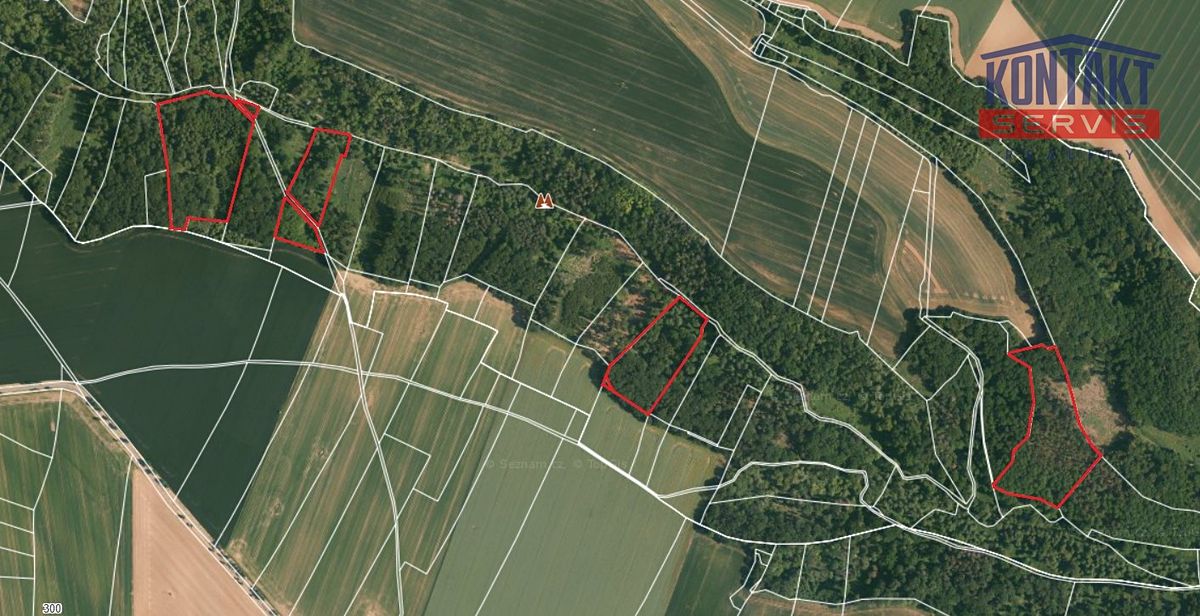 Prodej lesa 58553 m², Chorušice – fotka 1 z 3