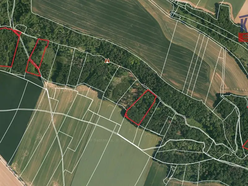 Prodej lesa 58553 m², Chorušice – náhled fotky 1