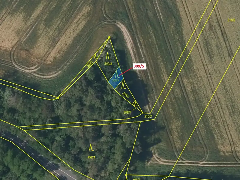 Dražba lesa 65 m², Břežany – náhled fotky 2