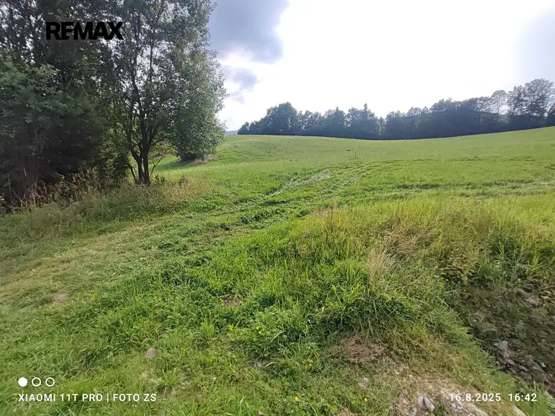 Prodej stavebního pozemku 22105 m², Lipová-lázně – náhled fotky 3